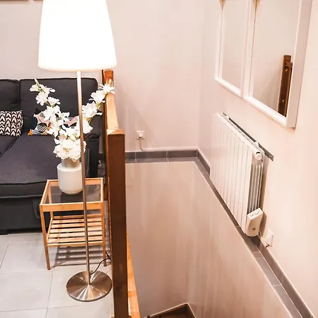 Charming Souplex In Apartment Paris